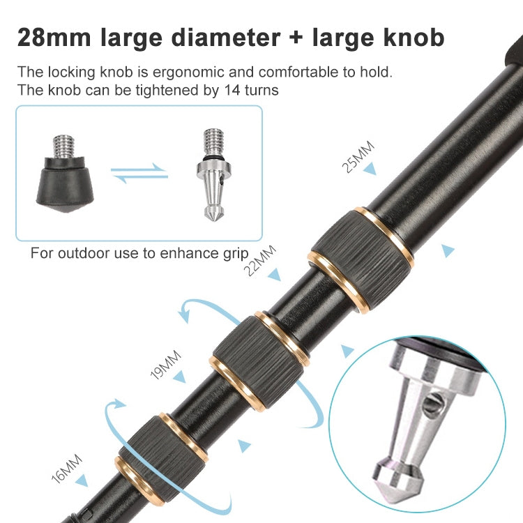 TRIOPO 554 Adjustable Portable Aluminum Alloy Tripod with D-2A Ball Head for SLR Camera