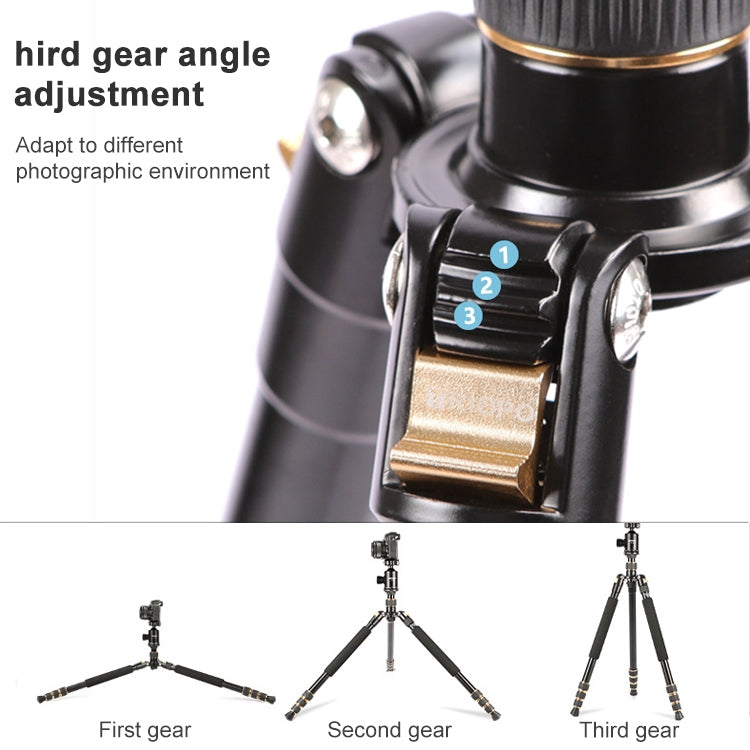 TRIOPO 554 Adjustable Portable Aluminum Alloy Tripod with D-2A Ball Head for SLR Camera