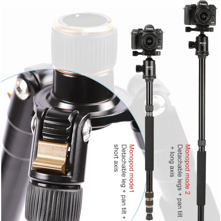 TRIOPO 554 Adjustable Portable Aluminum Alloy Tripod with D-2A Ball Head for SLR Camera