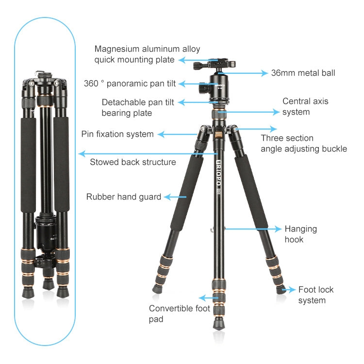 TRIOPO 554 Adjustable Portable Aluminum Alloy Tripod with D-2A Ball Head for SLR Camera