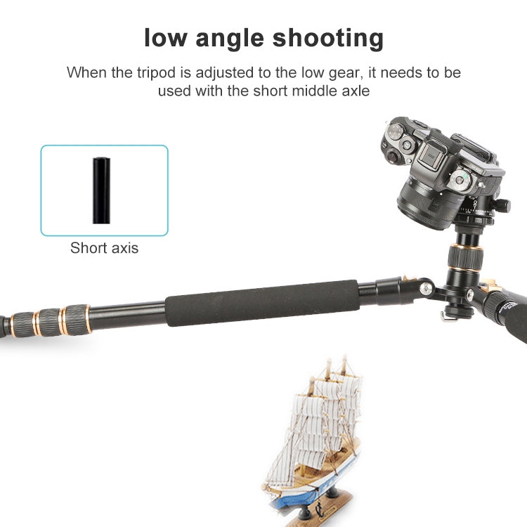 TRIOPO 554 Adjustable Portable Aluminum Alloy Tripod with D-2A Ball Head for SLR Camera