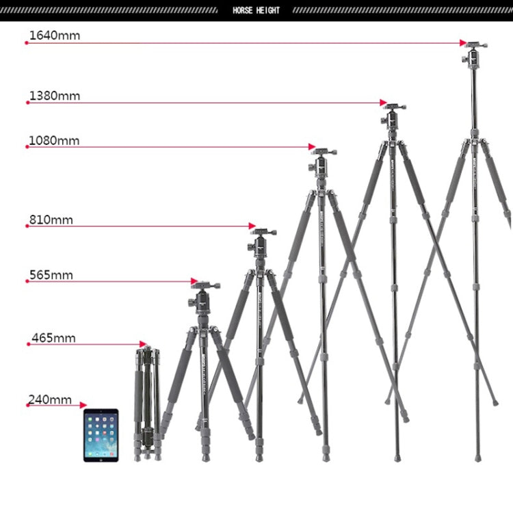 TRIOPO T258 Aluminum Alloy Tripod Monopod with D2 Ball Head