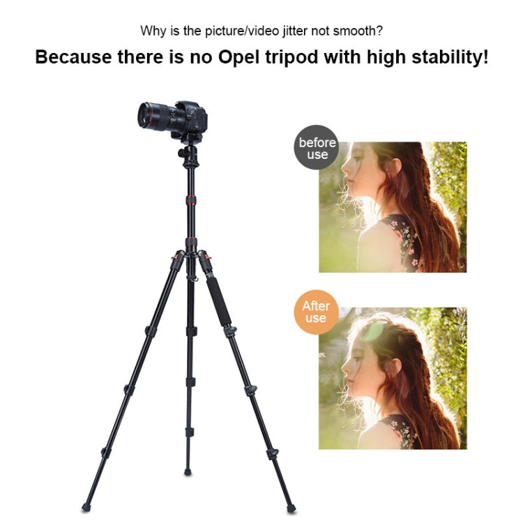 TRIOPO Oubao A-208S Adjustable Portable Aluminum Alloy Tripod with Ball Head for SLR Camera