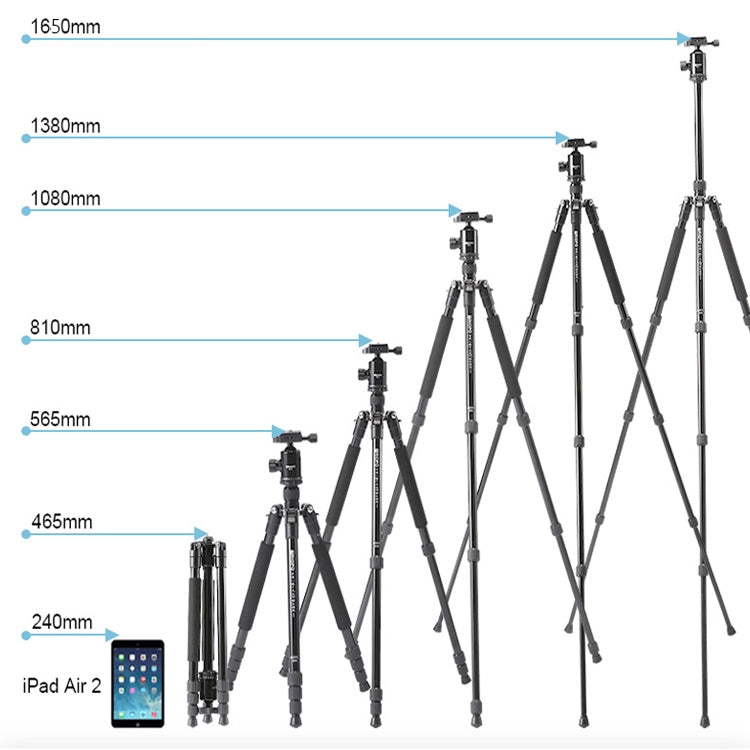 TRIOPO 554 Adjustable Portable  Aluminum Alloy Tripod with D-2A Ball Head for SLR Camera