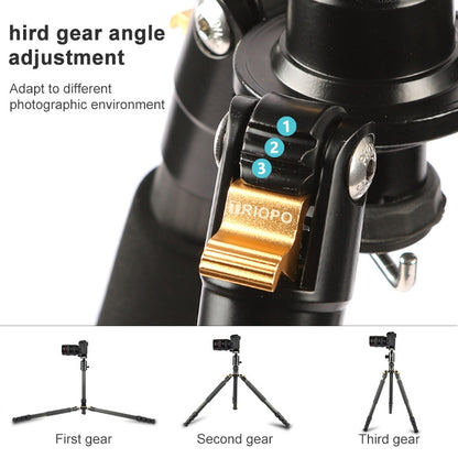 TRIOPO 853 Adjustable Portable Carbon Fiber Tripod with D2-A Ball Head for SLR Camera