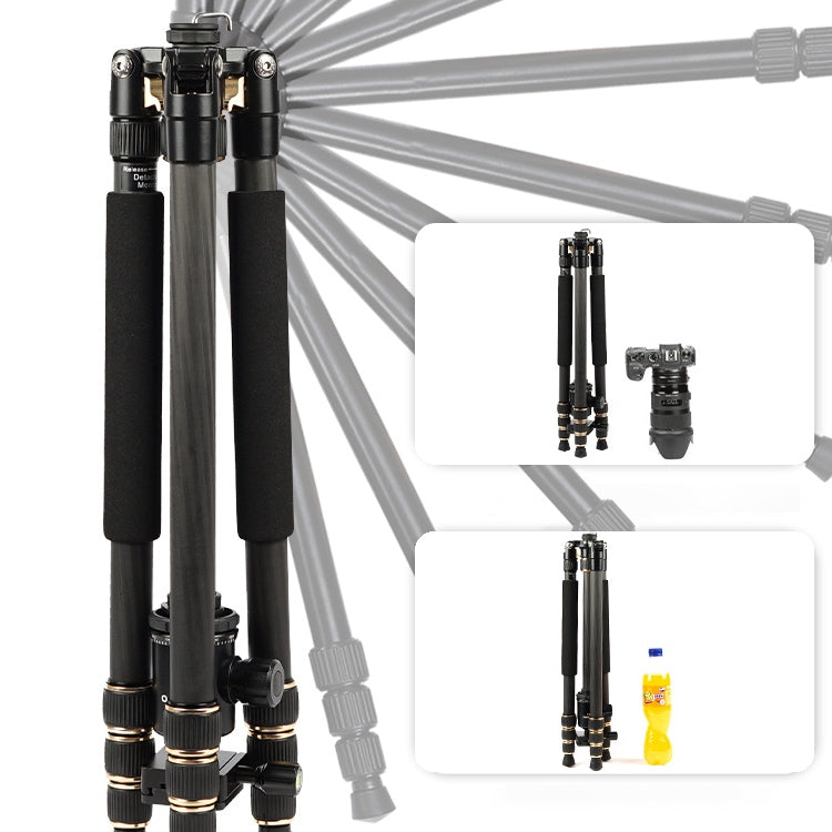 TRIOPO 853 Adjustable Portable Carbon Fiber Tripod with D2-A Ball Head for SLR Camera