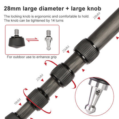 TRIOPO 888 Adjustable Portable Carbon Fiber Tripod with Q-2 Ball Head for SLR Camera, Pipe diameter: 28cm
