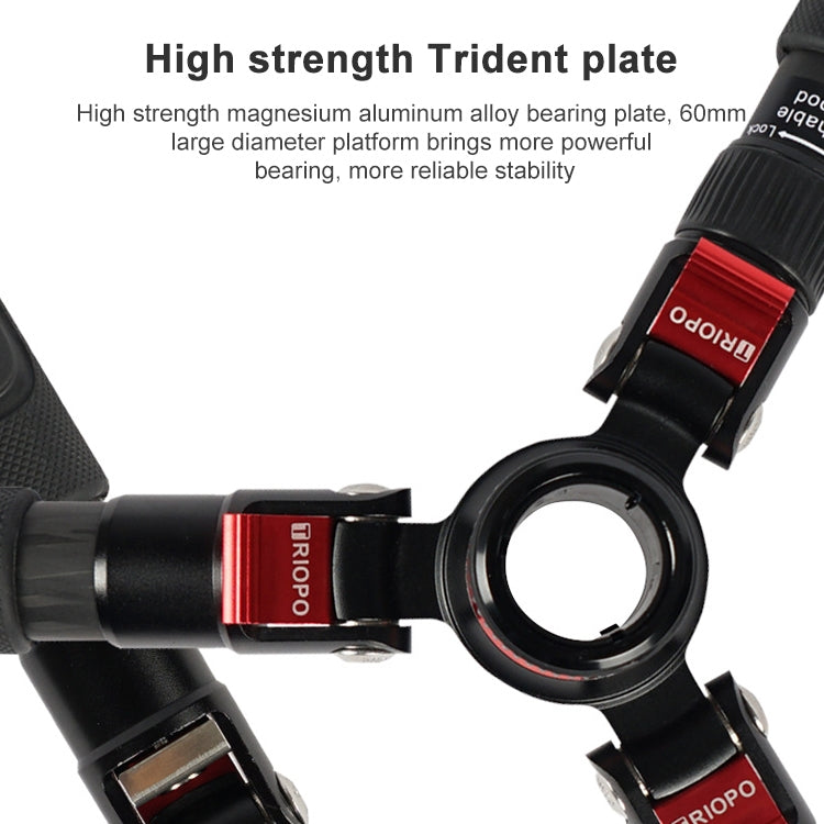 TRIOPO 888 Adjustable Portable Carbon Fiber Tripod with Q-2 Ball Head for SLR Camera, Pipe diameter: 28cm