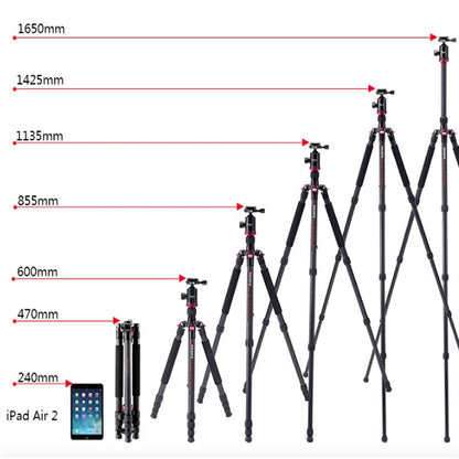 TRIOPO 888 Adjustable Portable Carbon Fiber Tripod with Q-2 Ball Head for SLR Camera, Pipe diameter: 28cm