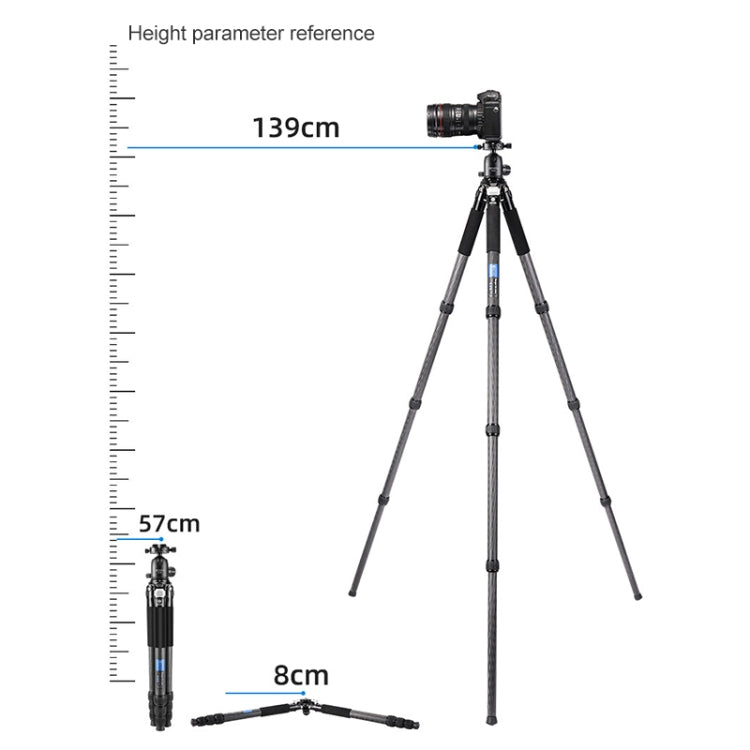 BEXIN RC334 Portable Collapsible Carbon Fiber Camera Tripod