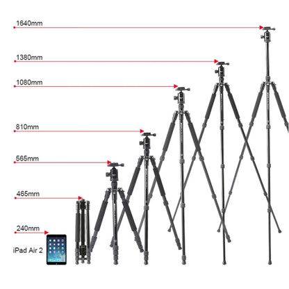 TRIOPO M2508 Multifunction Adjustable 4-Section Portable Aluminum Alloy Tripod Monopod with D-2A Ball Head for SLR Camera