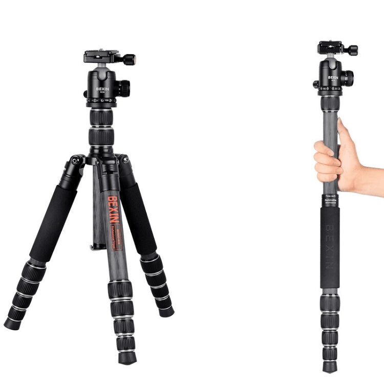 BEXIN BX285C K36 Portable Carbon Fiber Tripod for Dslr Digital DV Camcorder