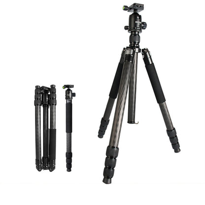 BEXIN W324C G44 Carbon Fiber Tripod Stable Shooting Camera for Vdeo Point Dslr Camera
