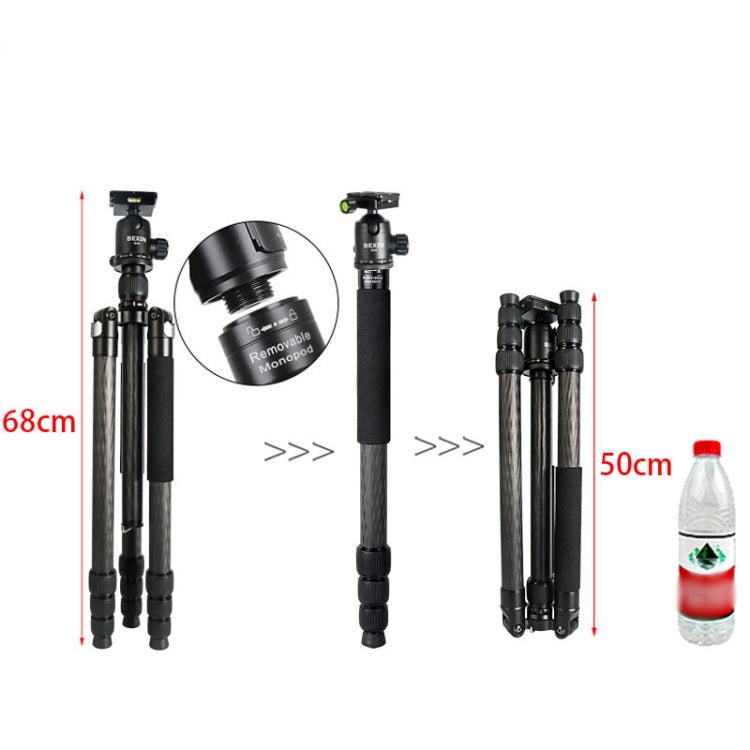 BEXIN W324C G44 Carbon Fiber Tripod Stable Shooting Camera for Vdeo Point Dslr Camera