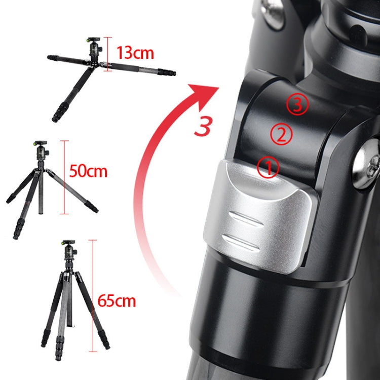 BEXIN W324C G44 Carbon Fiber Tripod Stable Shooting Camera for Vdeo Point Dslr Camera