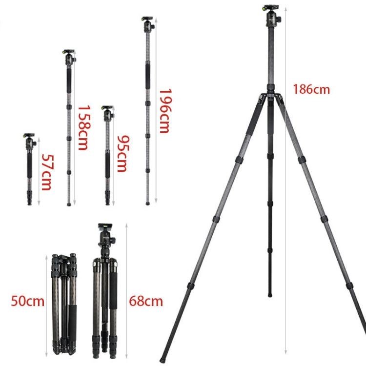 BEXIN W324C G44 Carbon Fiber Tripod Stable Shooting Camera for Vdeo Point Dslr Camera