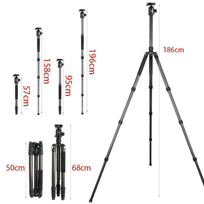 BEXIN W324C G44 Carbon Fiber Tripod Stable Shooting Camera for Vdeo Point Dslr Camera