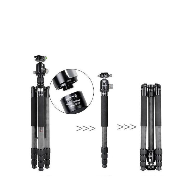 BEXIN W324C M44 Carbon Fiber Tripod Stable Shooting Camera for Vdeo Point Dslr Camera