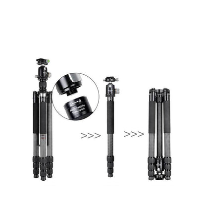 BEXIN W324C M44 Carbon Fiber Tripod Stable Shooting Camera for Vdeo Point Dslr Camera