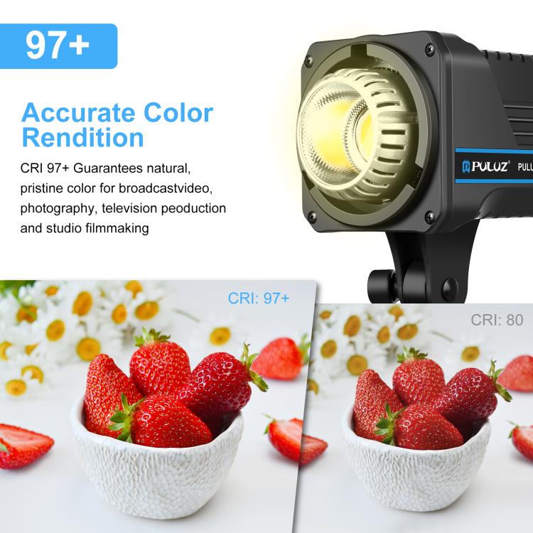 PULUZ 220V 120W Studio Video Light Dual Color Temperature Built-in Dissipate Heat System with Remote Control